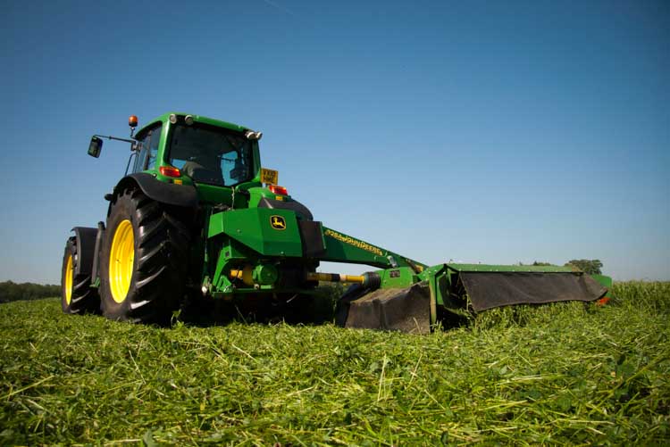 Mowing red clover silage, a high protein forage for winter housed cattle.